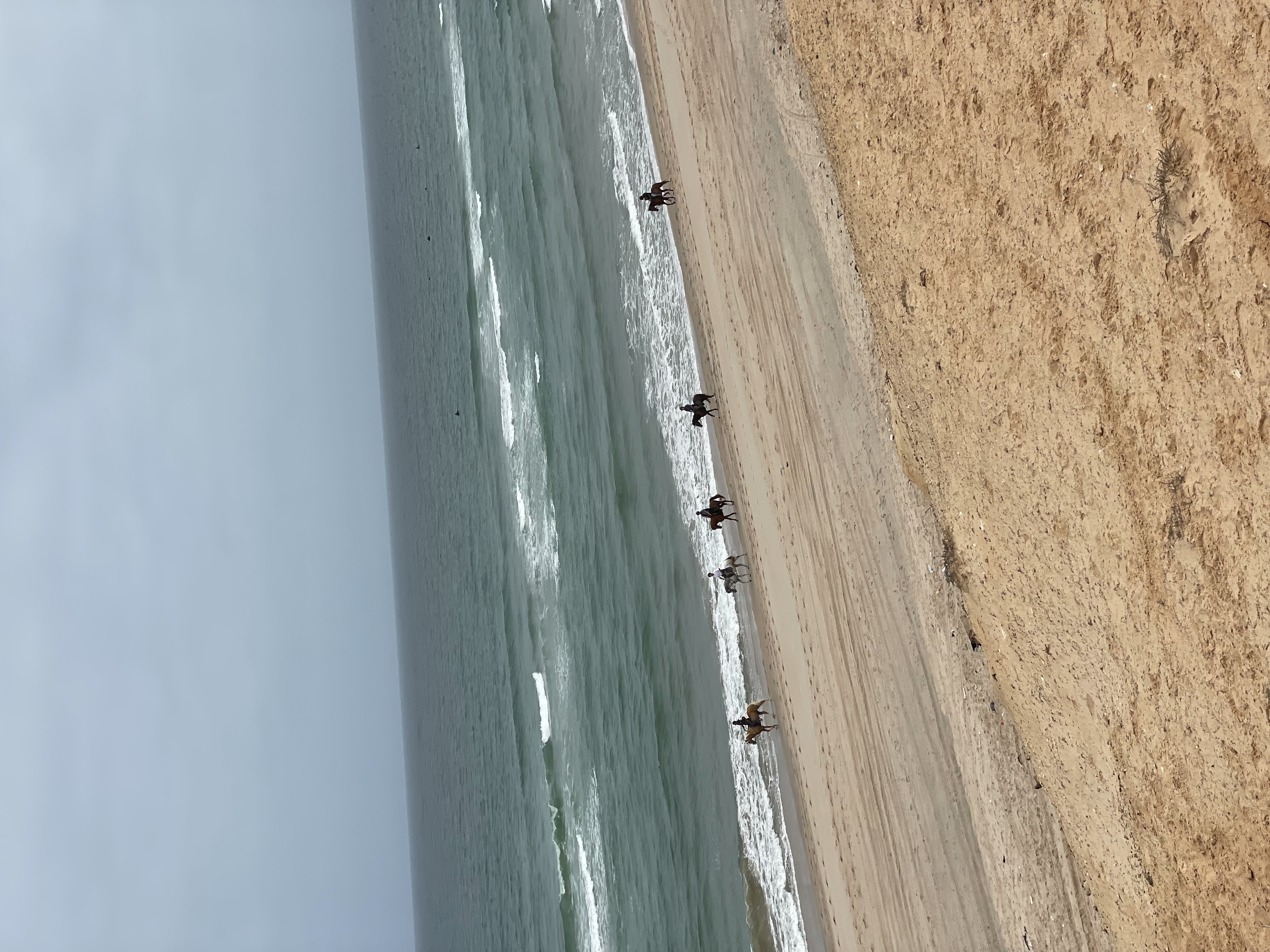 Activités à Dakhla